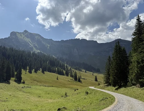Coach by Bike Angebot von Martina Grötschnig, cocoms. Berglandschaft in Mellau, Vorarlberg